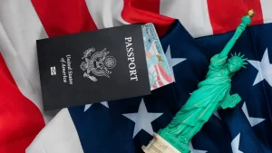 ویزای تک ضرب آمریکا