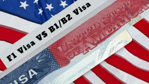 f1 vs b1b2 visa